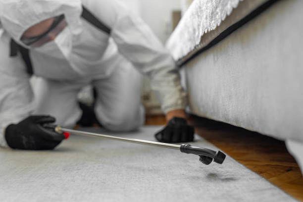 Professional Wasp Control technician working in Island Heights, NJ