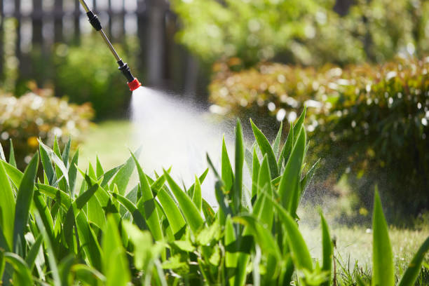 24/7 Emergency Termite Control experts in Island Heights, NJ