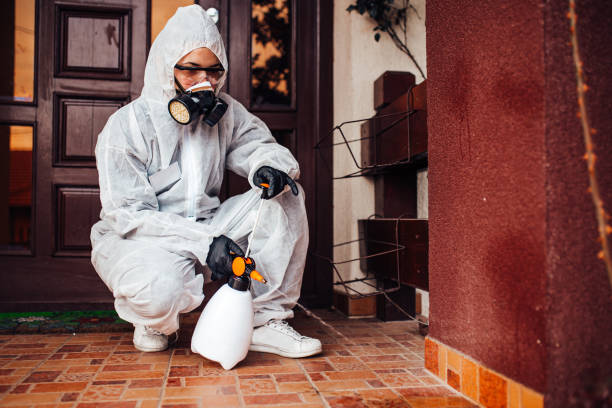 Reliable Termite Control contractor in Island Heights, NJ by Nex Pest Control