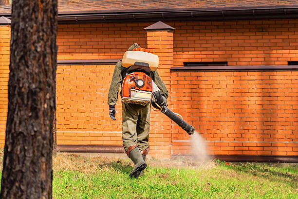 Trusted Fumigation Services service in Island Heights, NJ - Nex Pest Control
